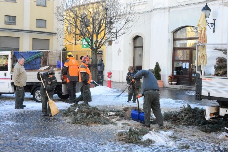 Szociális tűzifa lesz a közterületi karácsonyfákból